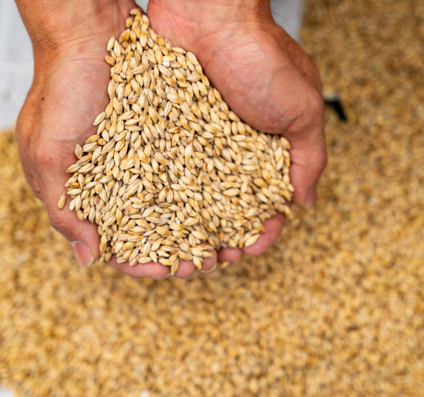 小国の食材を、新たな逸品にかえて